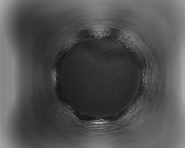 X0000096980219200802081414