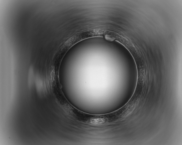 X0000096980220200802081414