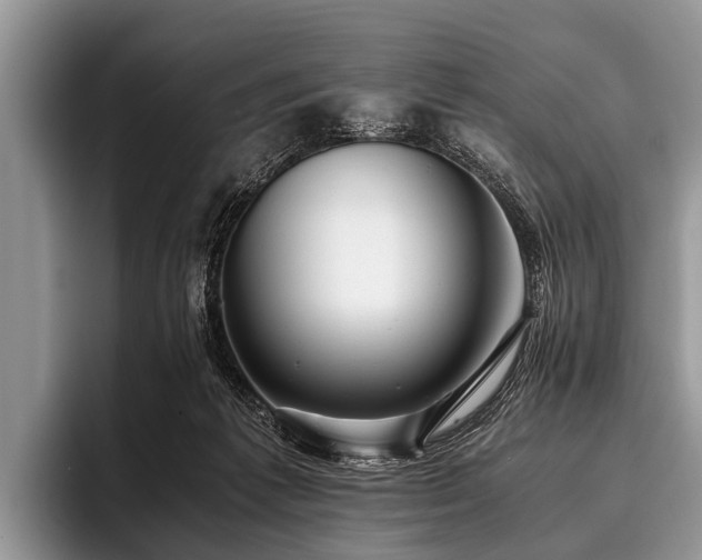 X0000096980221200802081414