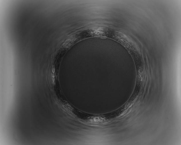 X0000096980223200802081414