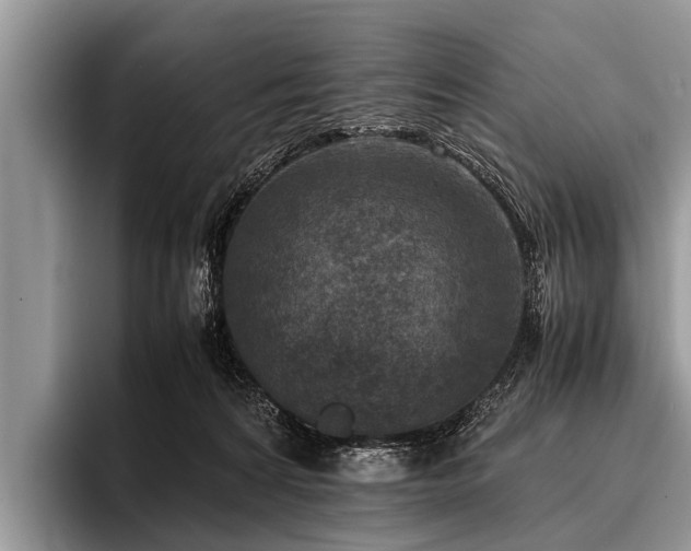 X0000096980224200802081414