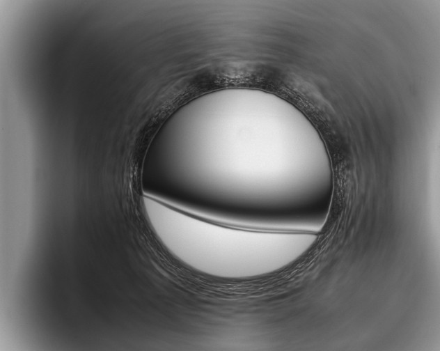 X0000096980225200802081414