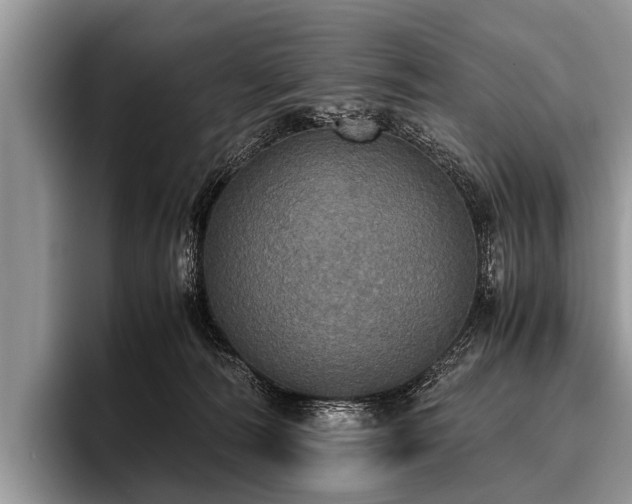 X0000096980226200802081414