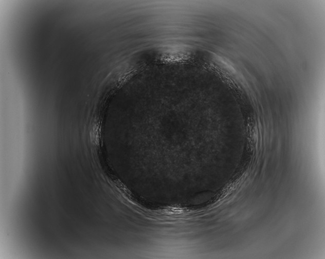 X0000096980227200802081414