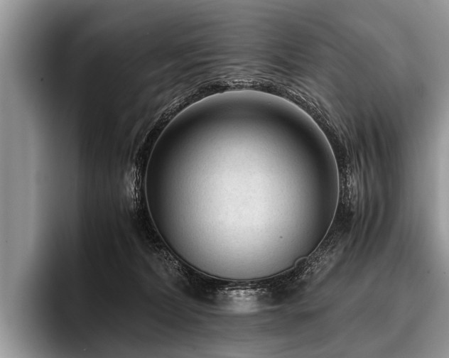 X0000096980228200802081414