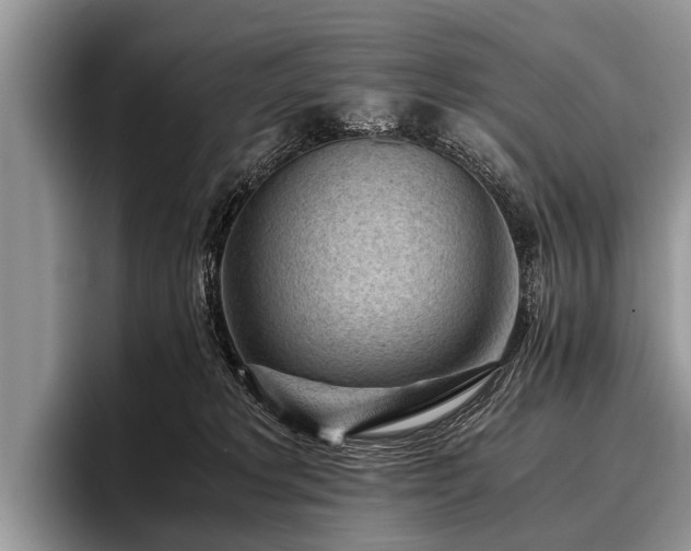 X0000096980229200802081414