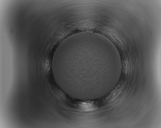 X0000096980232200802081414