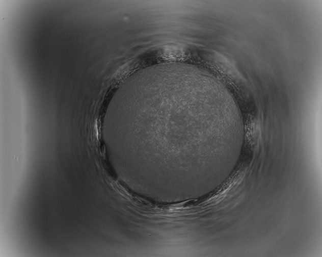 X0000096980233200802081414