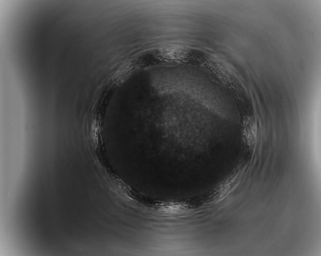 X0000096980235200802081414