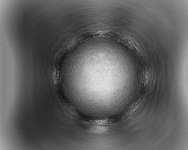 X0000096980236200802081414