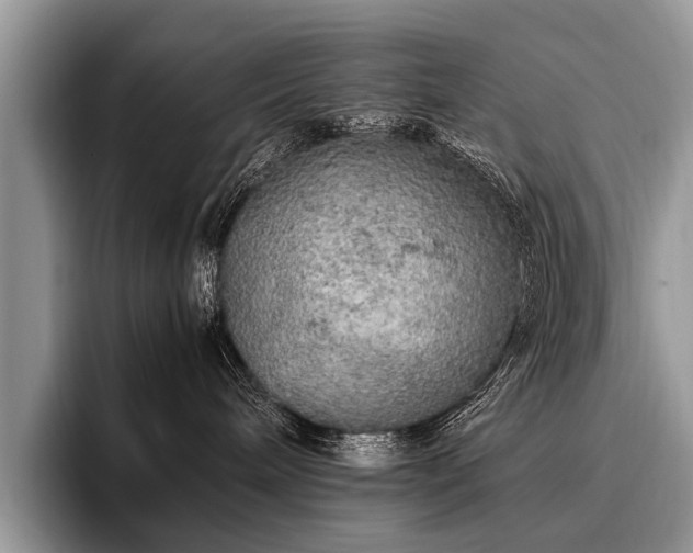 X0000096980240200802081414