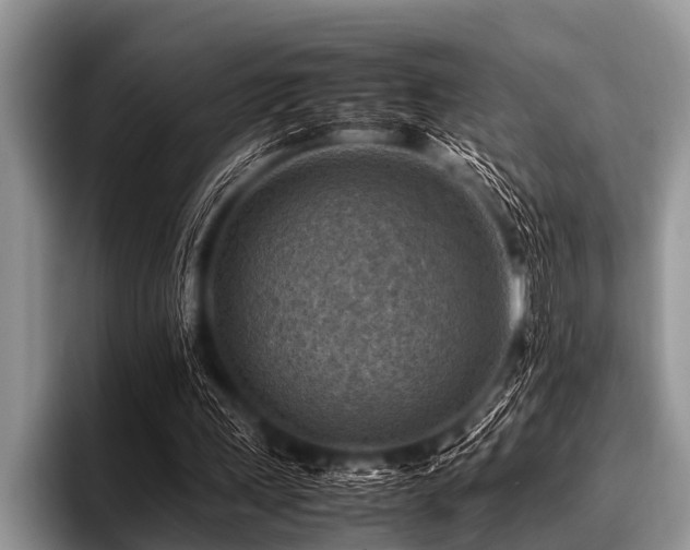 X0000096980243200802081413