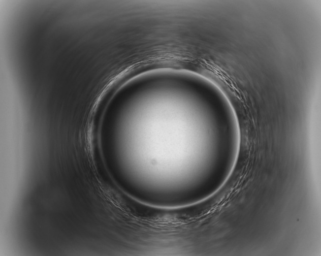 X0000096980244200802081413