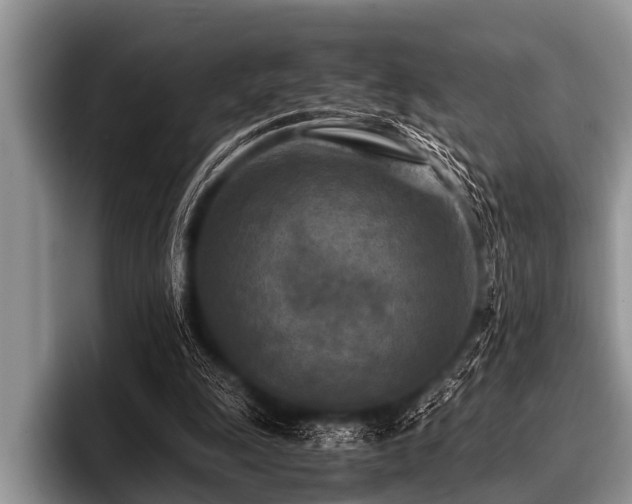 X0000096980247200802081413