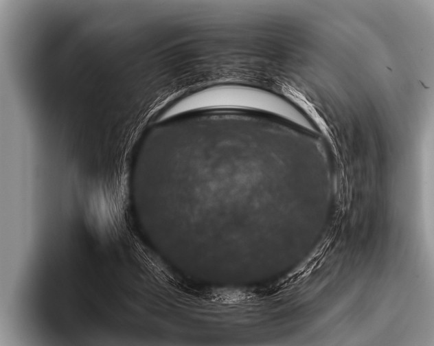 X0000096980249200802081413