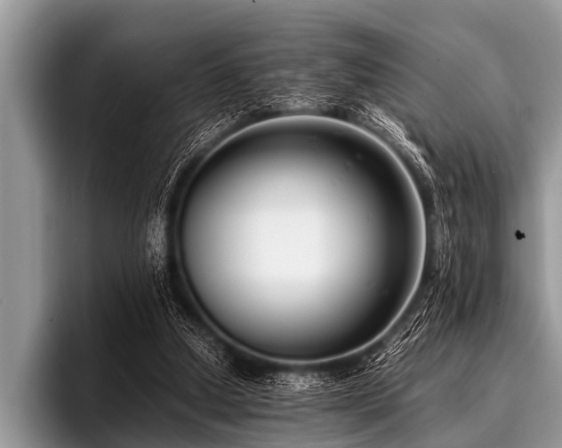 X0000096980250200802081413