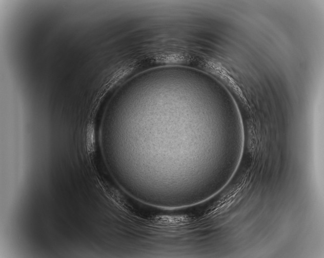 X0000096980251200802081413