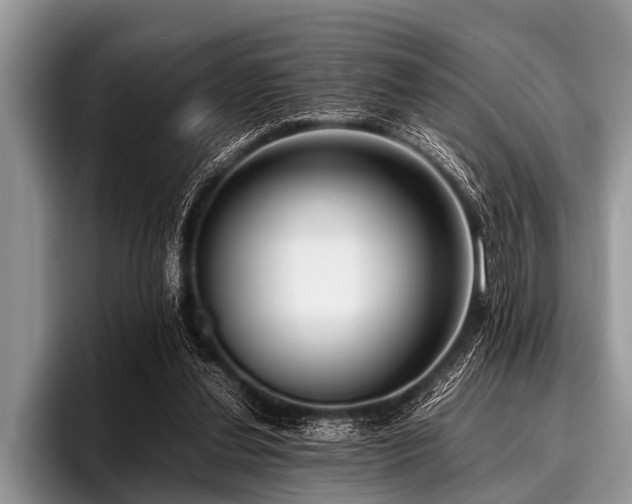 X0000096980252200802081413