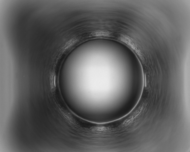 X0000096980253200802081413