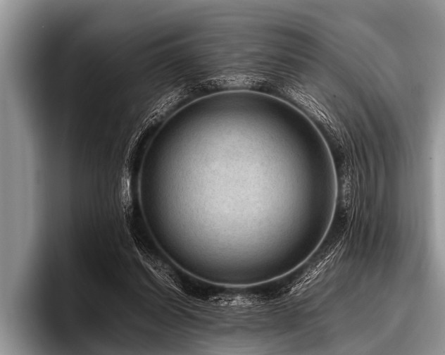 X0000096980254200802081413