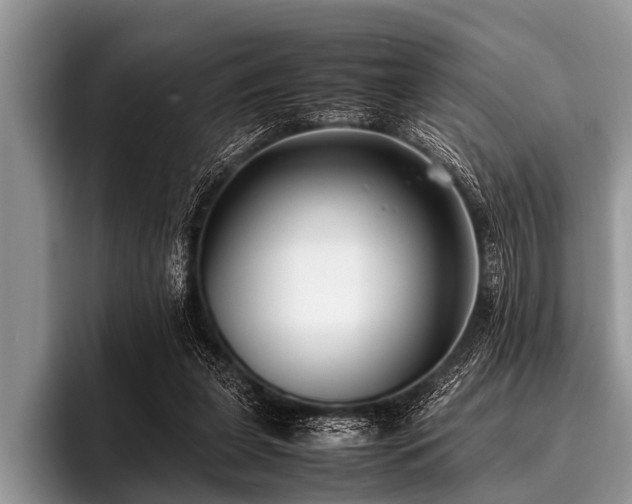 X0000096980255200802081413