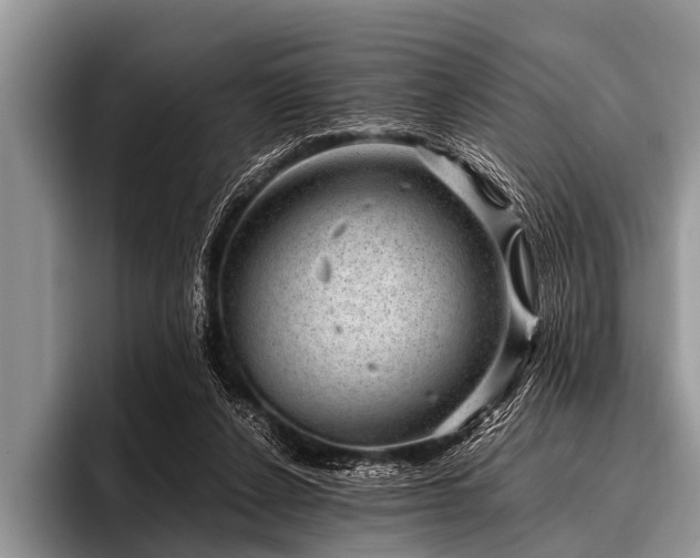 X0000096980256200802081413