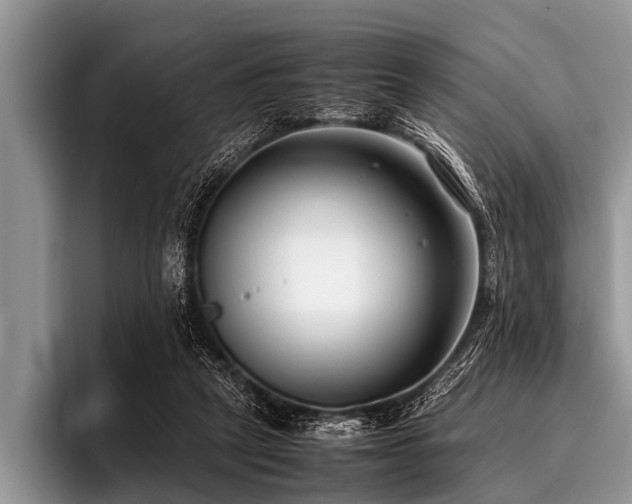 X0000096980257200802081413