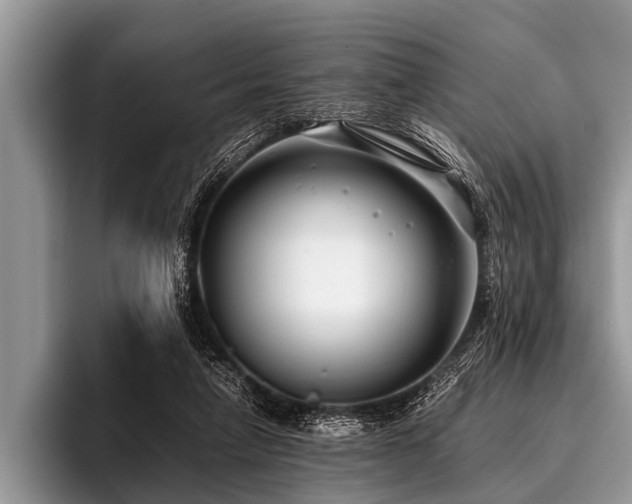 X0000096980258200802081413