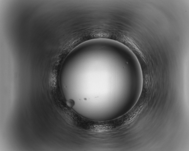 X0000096980259200802081413