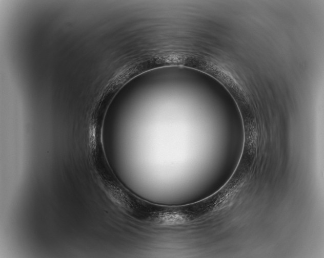 X0000096980262200802081413