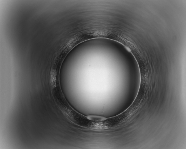 X0000096980264200802081413