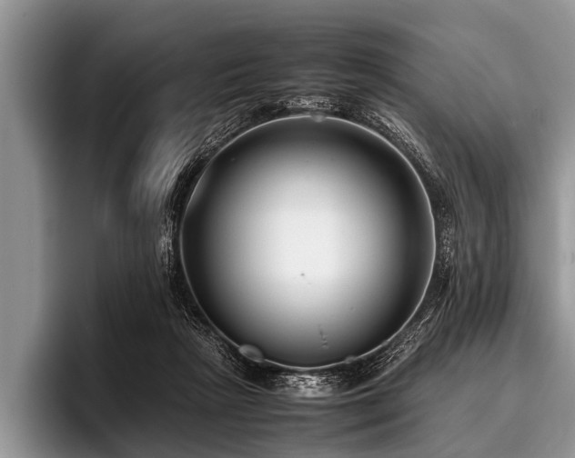 X0000096980265200802081413