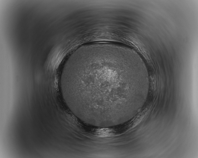 X0000096980269200802081413