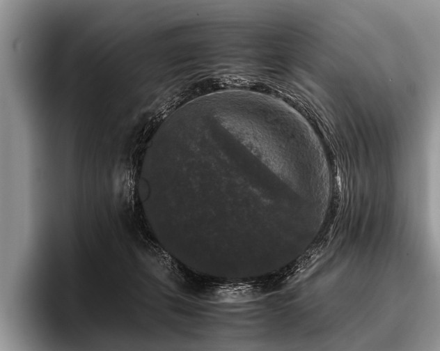 X0000096980271200802081413