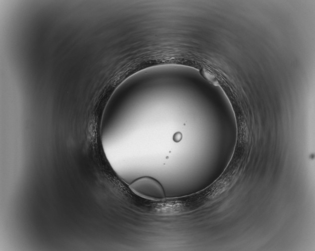 X0000096980274200802081413