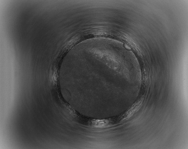 X0000096980277200802081413