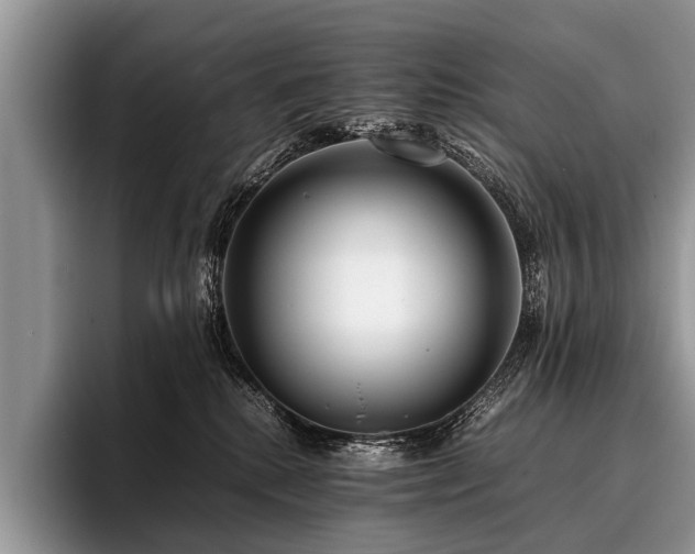 X0000096980280200802081413