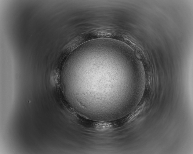 X0000096980281200802081413