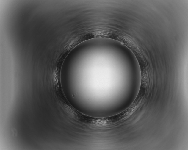 X0000096980282200802081413