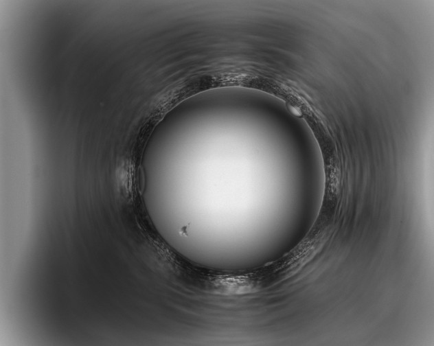 X0000096980283200802081413