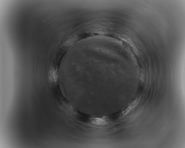 X0000096980285200802081413