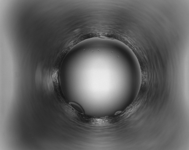 X0000096980286200802081413