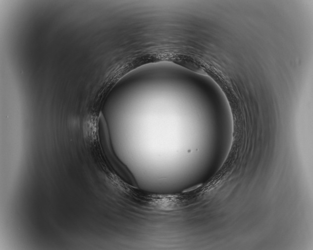 X0000096980288200802081413