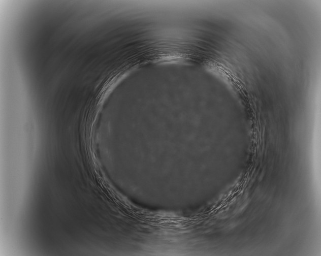 X0000096980289200802081413