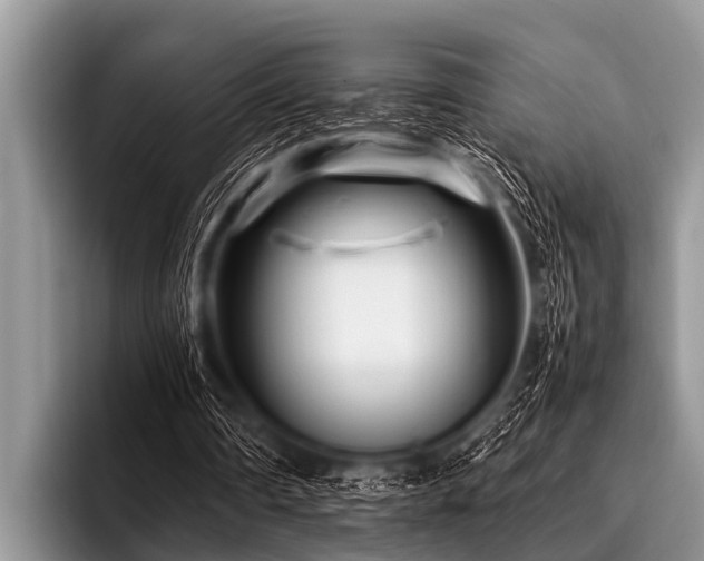 X0000096980290200802081413