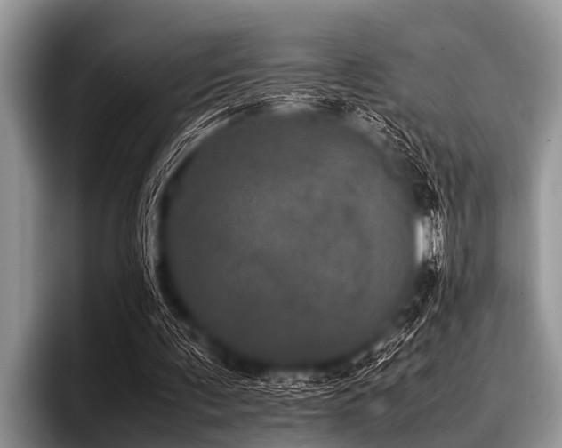 X0000096980291200802081413