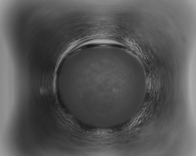 X0000096980292200802081413