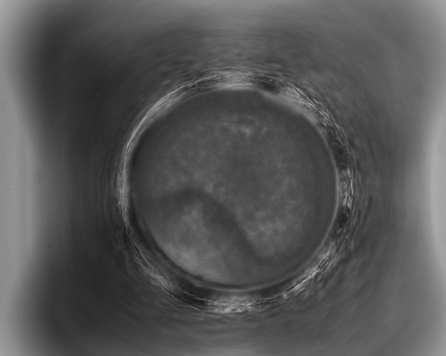 X0000096980293200802081413