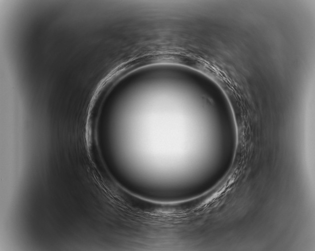 X0000096980294200802081413