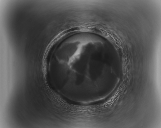 X0000096980295200802081413